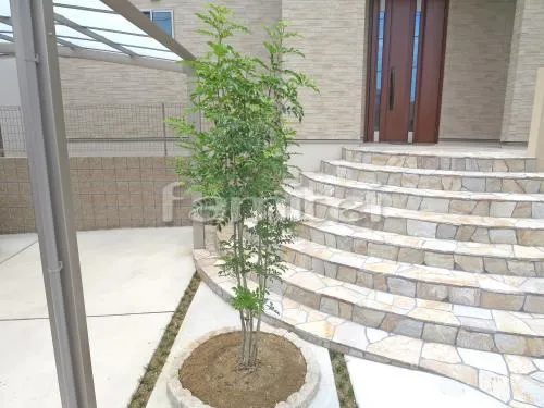 シンボルツリー シマトネリコ 常緑樹 植栽 ピンコロ石花壇 サークルデザイン