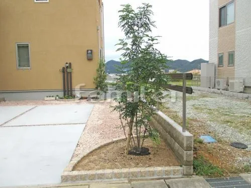 シンボルツリー シマトネリコ 常緑樹 植栽 ピンコロ石花壇 カーブ曲線デザイン