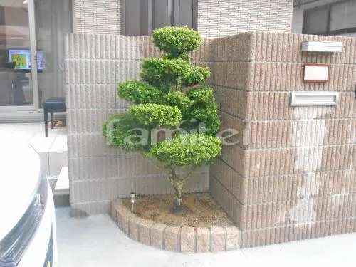 ピンコロ石花壇 カーブ曲線デザイン サビミカゲ 植栽 支給品