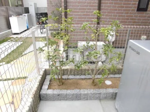 低木 植栽 ピンコロ石花壇 白ミカゲ