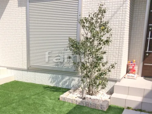 シンボルツリー ソヨゴ 常緑樹 植栽 ピンコロ石花壇 サビミカゲ