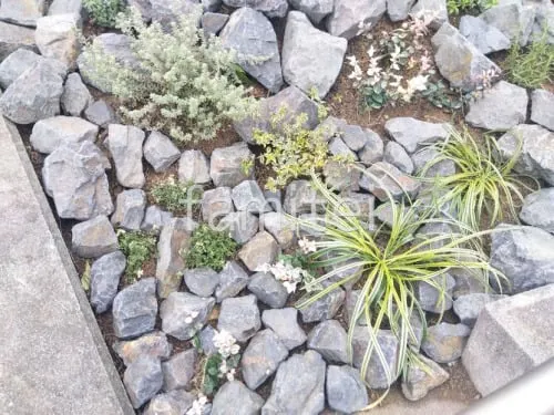 下草 植栽