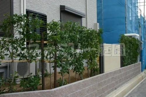 和泉市　オープン外構　カーポート　生垣　坪庭　照明　