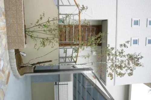 堺市　オープン外構　ガラスブロック門柱　カーポート2台用　門まわり　アプローチ　階段　花壇　シンボルツリー