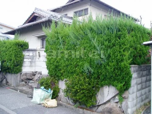 堺市　リフォーム外構工事　植栽撤去　カーポート１台用　アプローチ