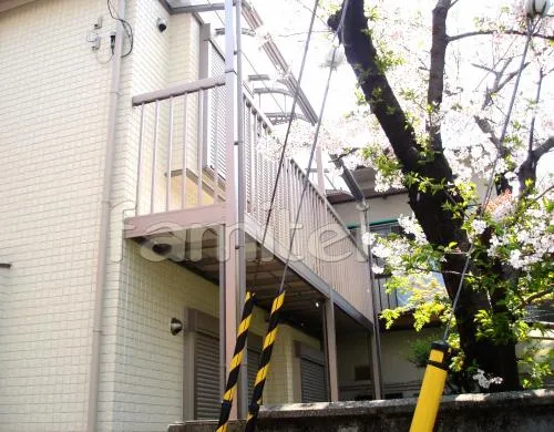 八尾市　オープン外構　シンボルツリー：シマトネリコ　テラス屋根１階