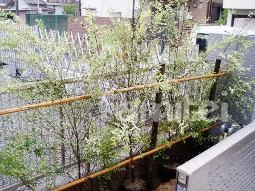 堺市のリフォーム車庫　生垣　植栽