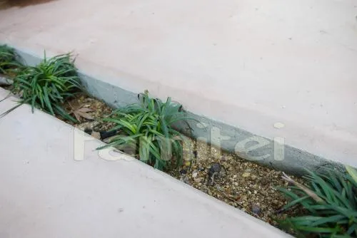 海南市のリフォーム外構　シンボルツリー　カラーコンクリート　レンガ立水栓