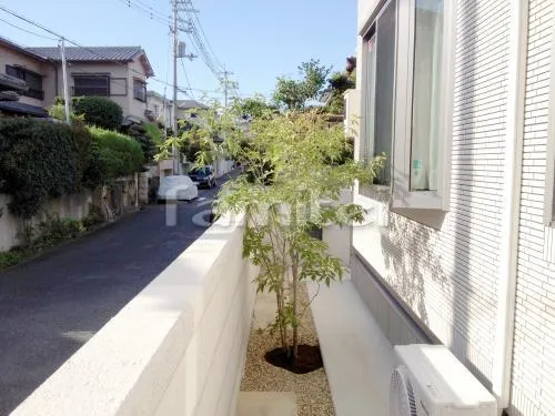 堺市 シンボルツリー アオダモ 落葉樹 植栽