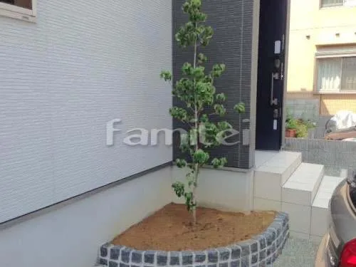 高砂市 植栽植え込み工事 シンボルツリー ハナミズキ(白) 落葉樹