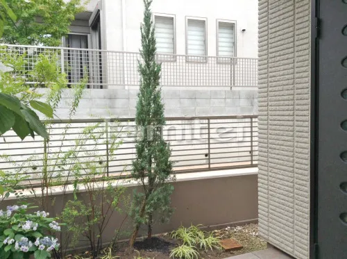 宝塚市 シンボルツリー ブルーヘブン 針葉樹 植栽