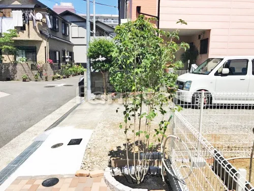 堺市東区 エクステリア工事 シンボルツリー シマトネリコ 常緑樹 植栽