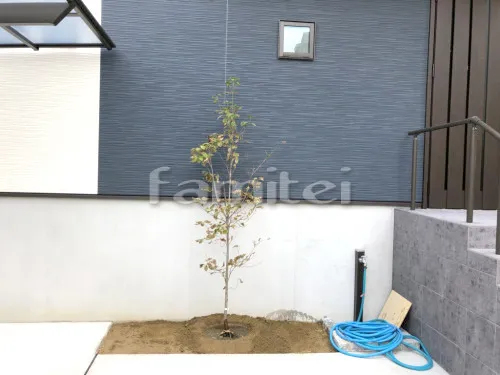 枚方市 新築ベーシック オープン外構 シンボルツリー ハナミズキ(白) 落葉樹 植栽