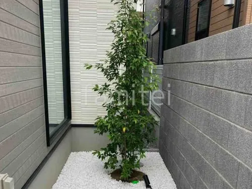 ナツハゼ /340 植栽落葉樹」の外構施工例(340件) - ファミリー庭園 ナツハゼ /340 植栽落葉樹」の外構施工例(340件) - ファミリー庭園