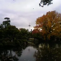 京都店　外構　京都市内の紅葉