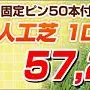 兵庫　夏の日ざしの照り返しも防ぐ、お庭の緑。