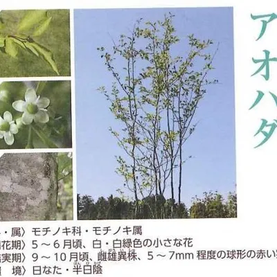 和歌山　季節を楽しめるおすすめ植栽