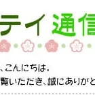 花粉対策用網戸☆三協アルミ「フィルタード」