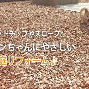 ウッドチップで作るワンちゃんにやさしいお庭リフォーム例☆