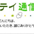 目隠し対策のされた塀まわりリフォームをご紹介