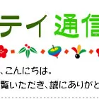 憧れの南欧風ガーデンが作れる！