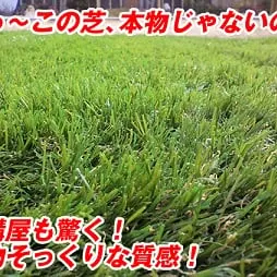 本物そっくり人工芝。比べてみてください！