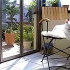 ペットものびのび過ごせる、サンルーム。かわいい写真☆
