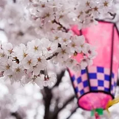 マカロンカラーな浴槽☆トクラスよりデビュー♪