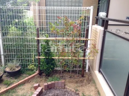 植栽 生垣 レッドロビン