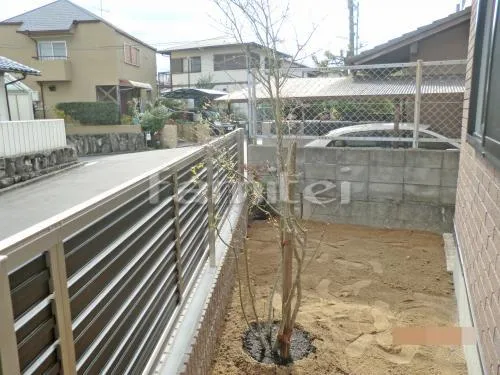 シンボルツリー イロハモミジ 落葉樹 植栽