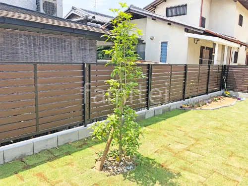 シンボルツリー キンモクセイ 常緑樹 植栽