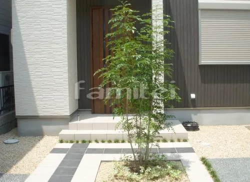 シンボルツリー シマトネリコ 植栽