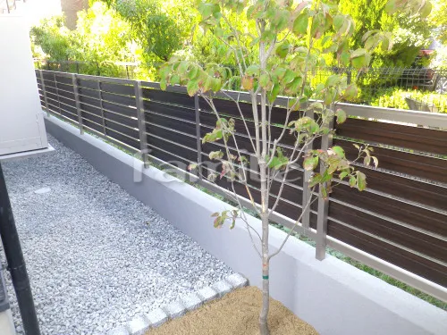 シンボルツリー ハナミズキ(白) 落葉樹 植栽