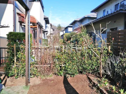 生垣 レッドロビン 常緑低木 植栽