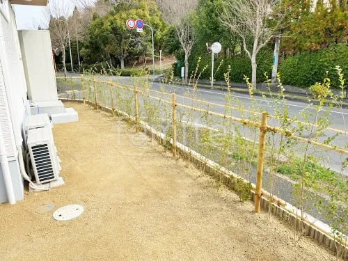 生垣 プリペット 常緑低木 植栽