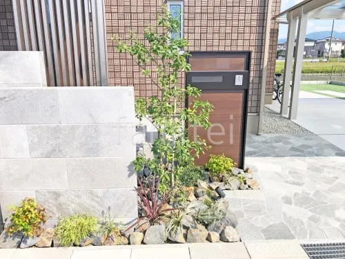 シンボルツリー ソヨゴ 常緑樹 植栽