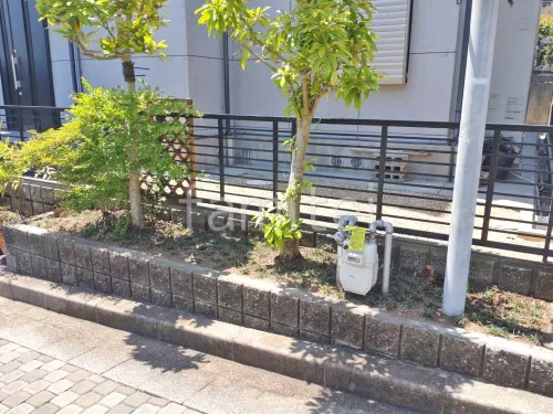 下草 リュウノヒゲ 植栽