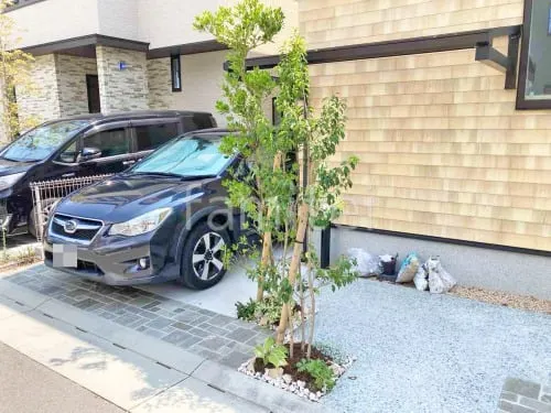 シンボルツリー ソヨゴ 常緑樹 植栽