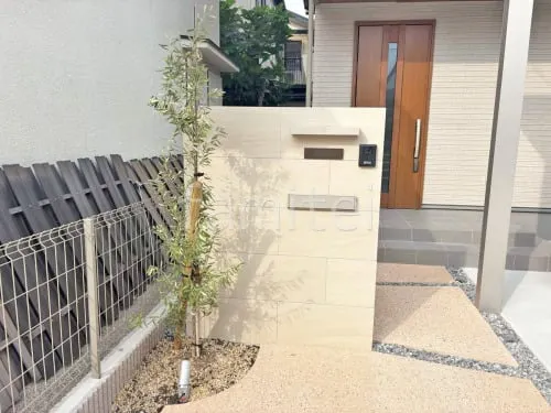 シンボルツリー オリーブ 常緑樹 植栽