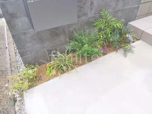 下草 植栽