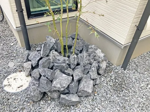 ロックガーデン ユニソン ワズロック アオバ