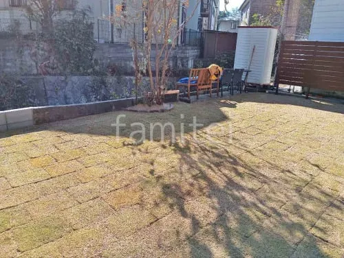 芝生張り 姫高麗芝