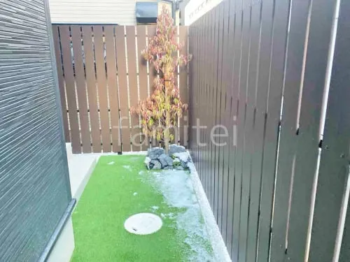 シンボルツリー   ホンコンエンシス 