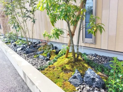 ロックガーデン ユニソン ワズロック アオバ