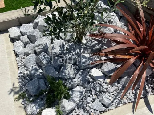 ロックガーデン　ユニソン　ワズロック　アオバ　植栽　下草
