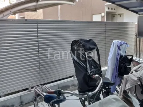本体色 プラチナステン