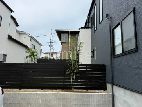 植栽 シンボルツリー 落葉樹 アオダモ