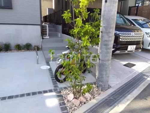 植栽 シンボルツリー 常緑樹 ソヨゴ
