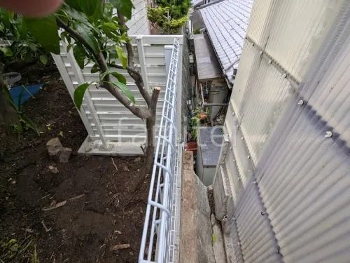 本体色 ホワイト