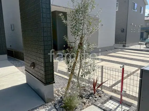 シンボルツリー 常緑樹 オリーブ 低木 下草 植栽 ロックガーデン